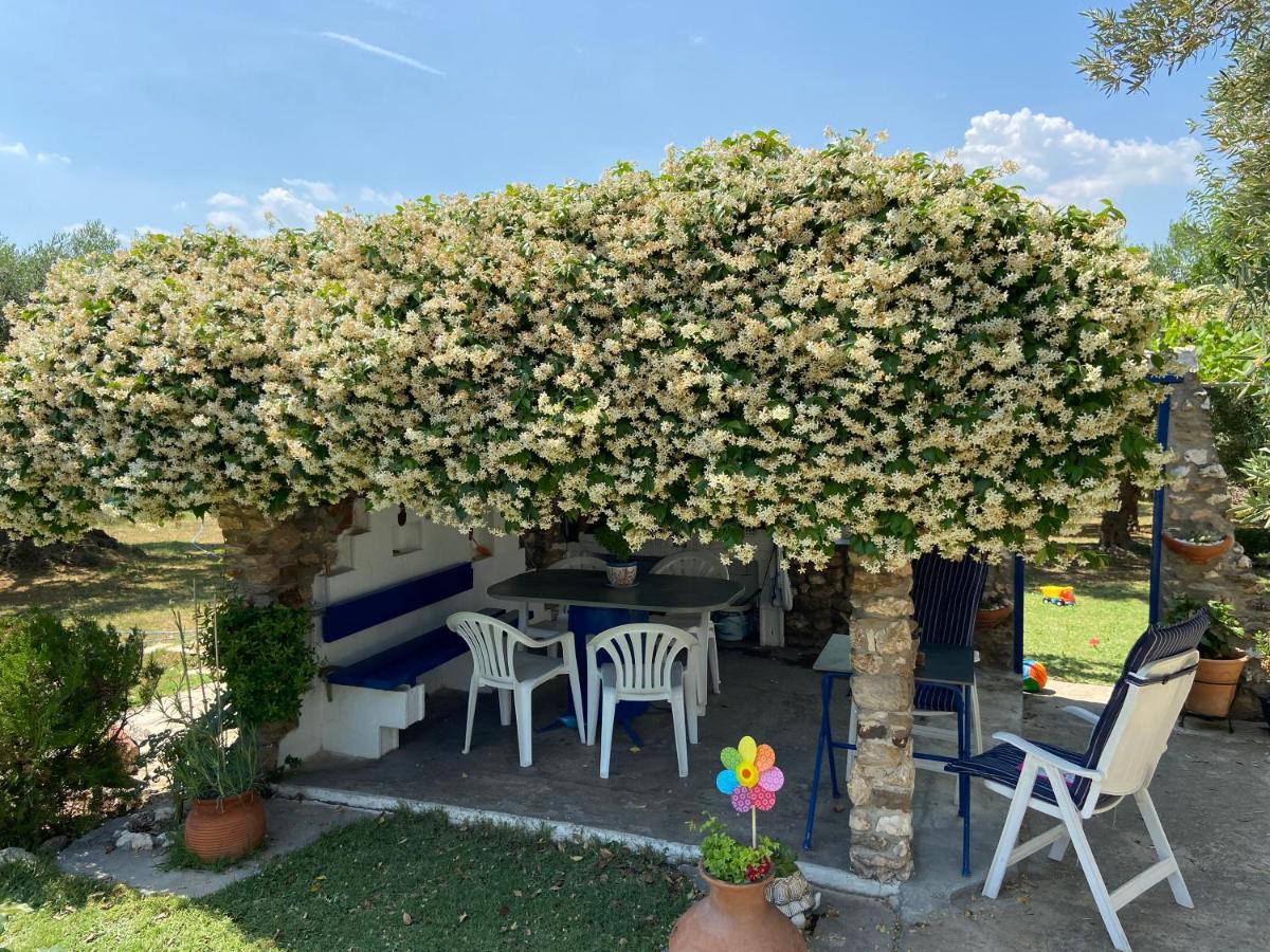 Wine & Olive Studio Gerakini Exterior foto